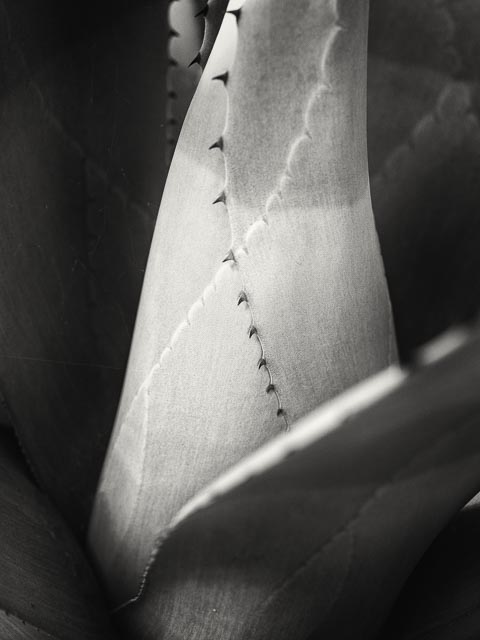 Photostream image 29