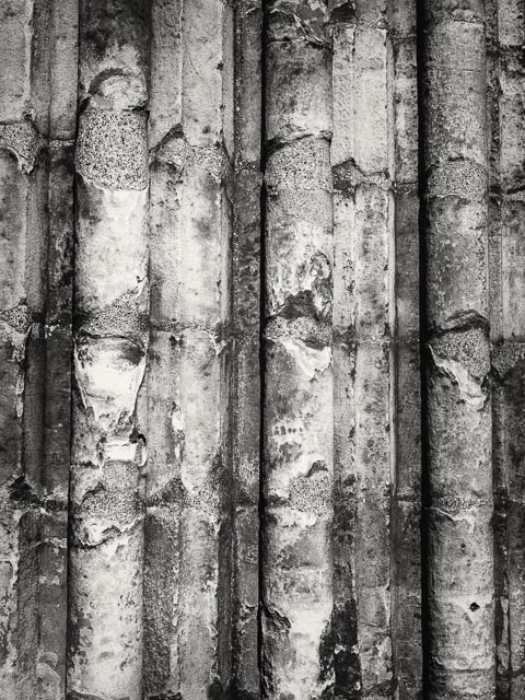 Photostream image 19