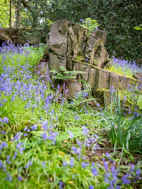 Photostream image 50