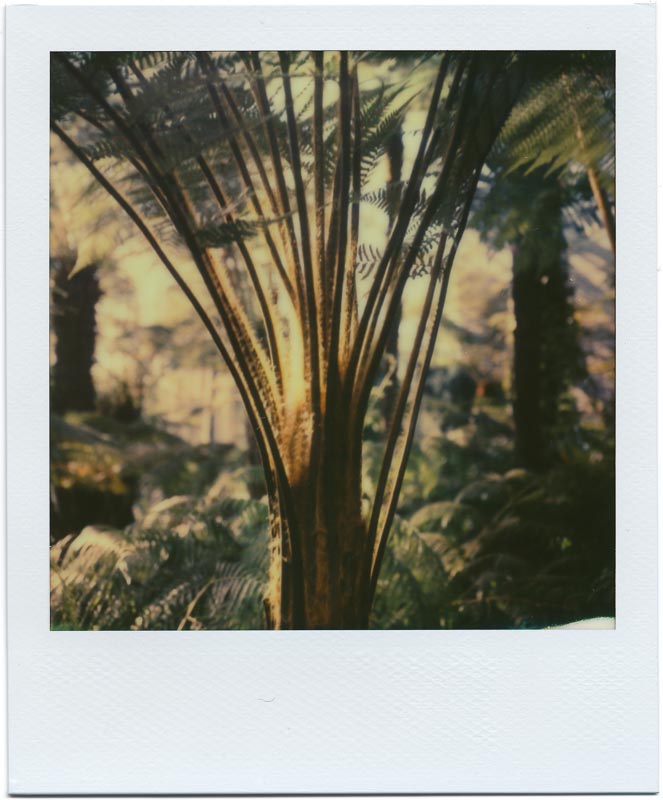 PX70 Color Shade New Color Protection 4
