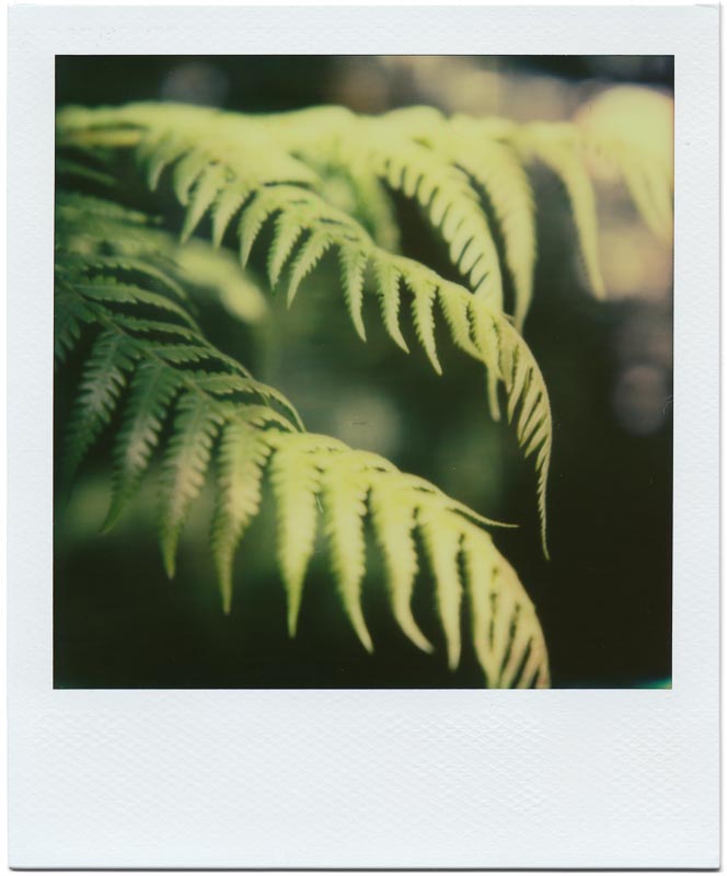 PX70 Color Shade New Color Protection 1