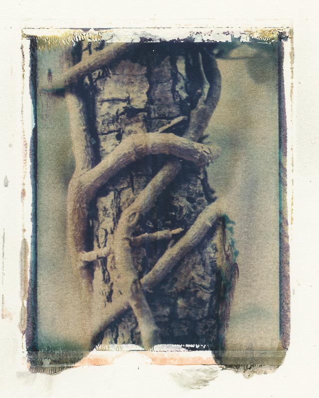 Pack film image transfer gallery - Image 8