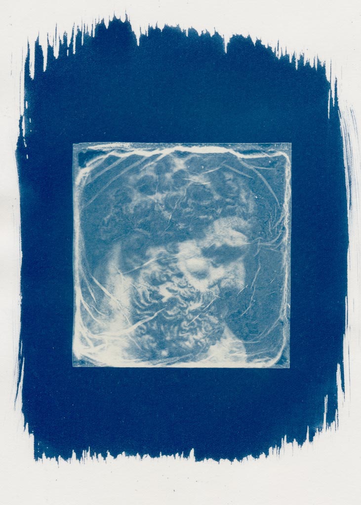 Polaroid cyanotypes gallery - Image 1