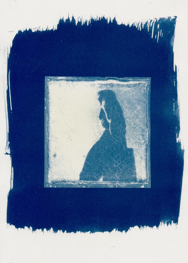 Polaroid cyanotypes gallery - Image 5
