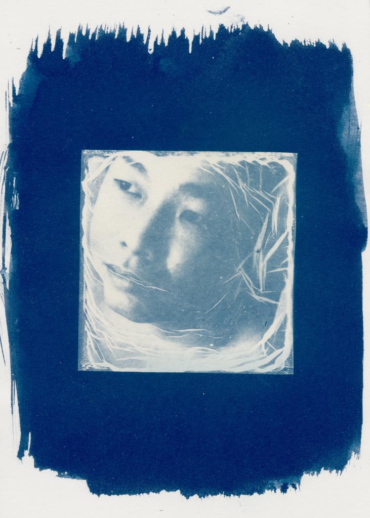 Polaroid cyanotypes gallery - Image 6