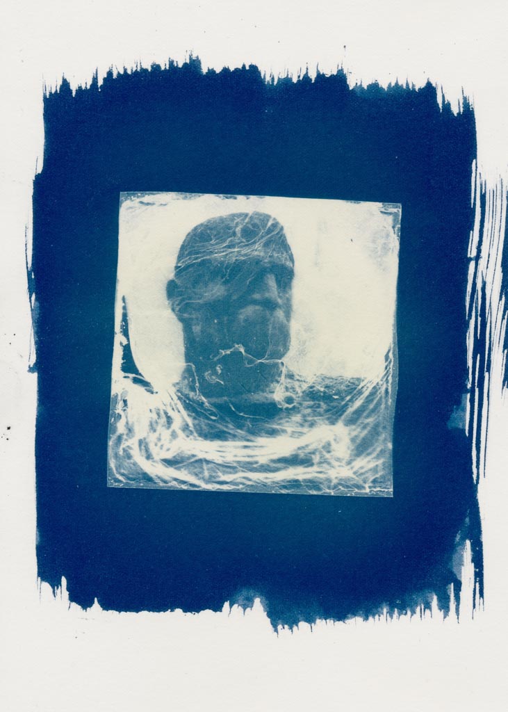 Polaroid cyanotypes gallery - Image 3