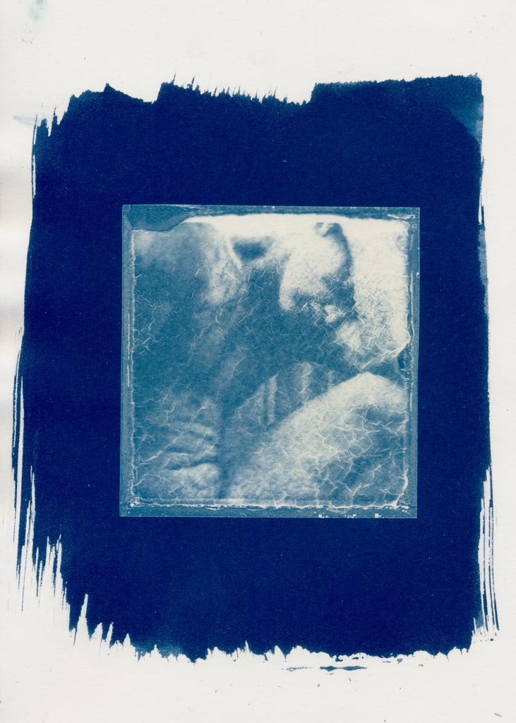 Polaroid cyanotypes gallery - Image 7